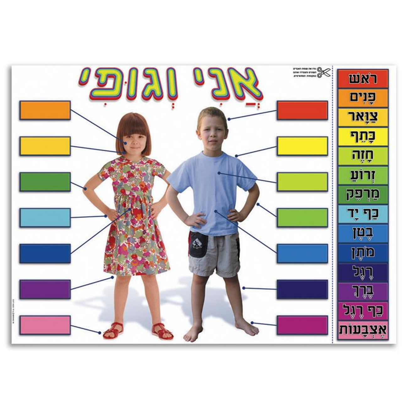 Ani Ve Gufi (My Parts of the Body) Interactive Poster in Hebrew