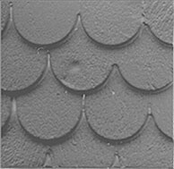 Fishscale Shingles
