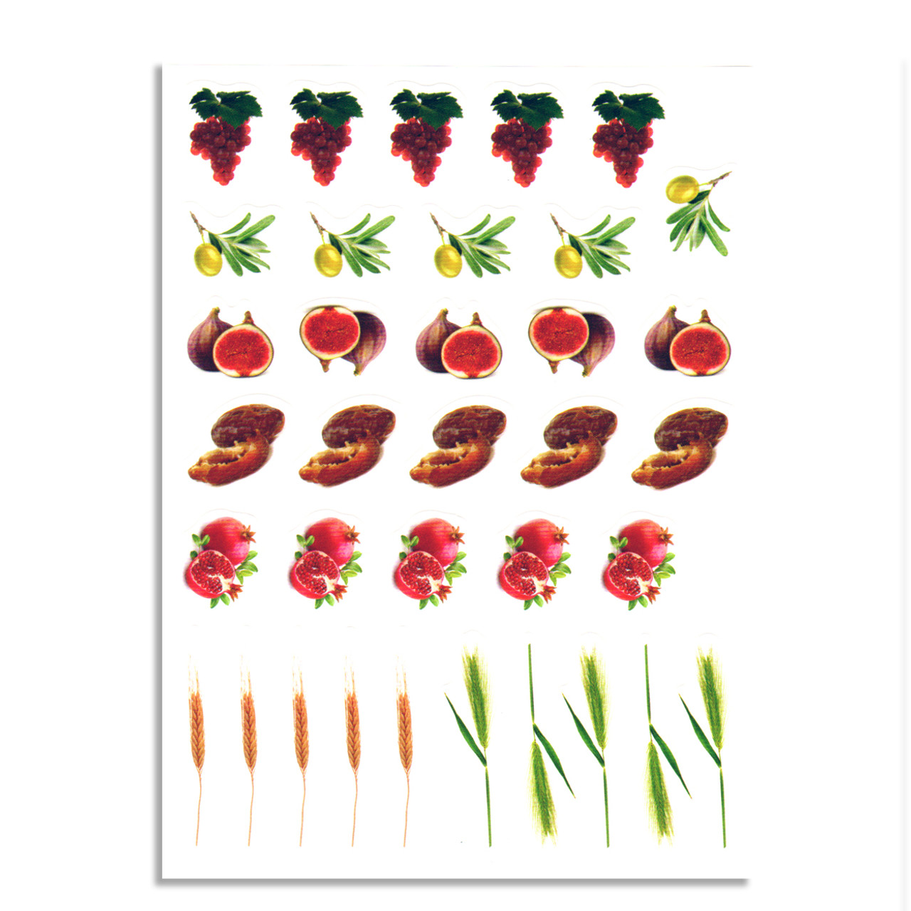7 Ha Minim Die Cut Stickers | Seven Species (10 Sheets)