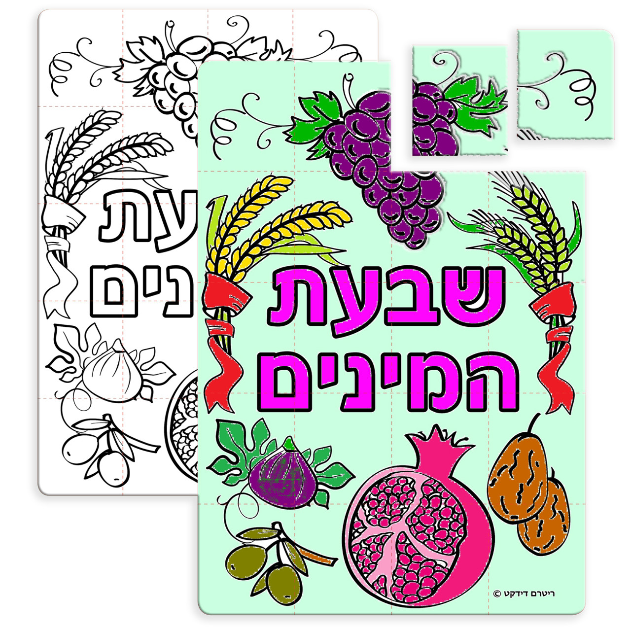 Shivat HaMinim Color-Your-Own Puzzles (36)