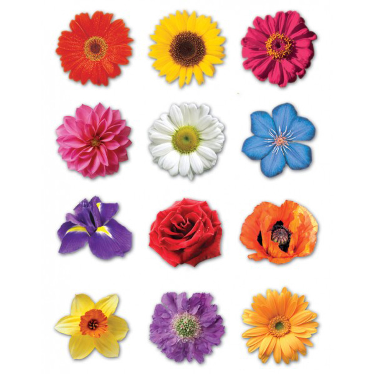 Colorful Flowers Stickers for Shavuot and Tu B'Shvat