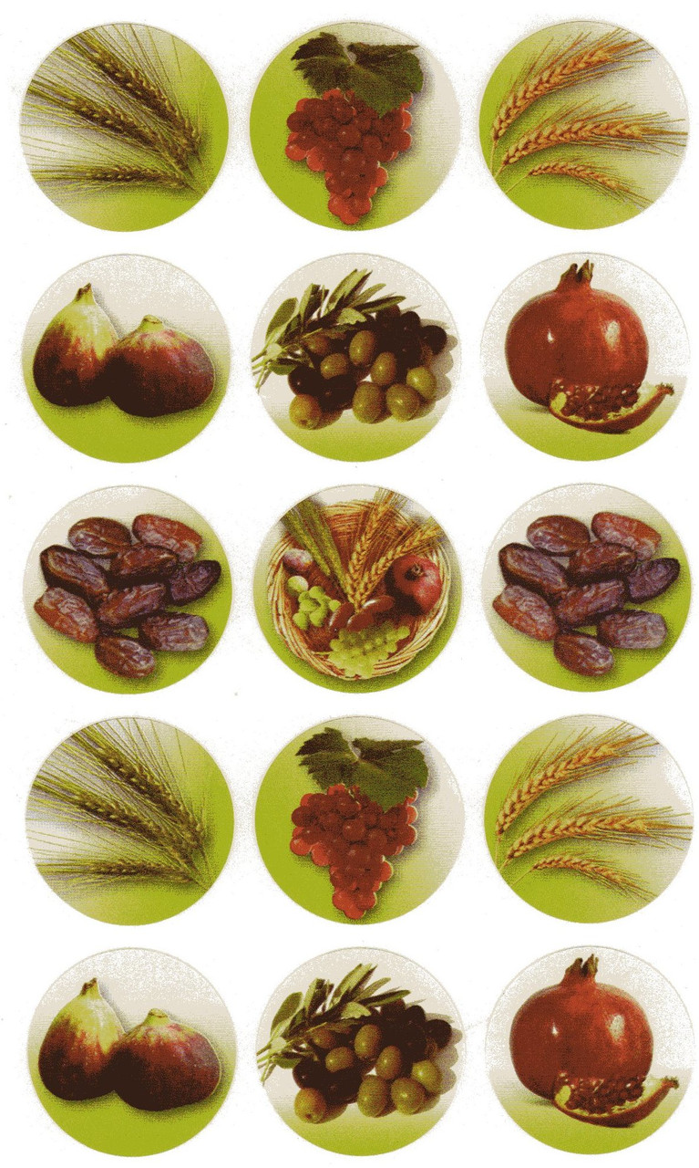 7 Ha Minim Smaller Stickers | Seven Species (150 Stickers)