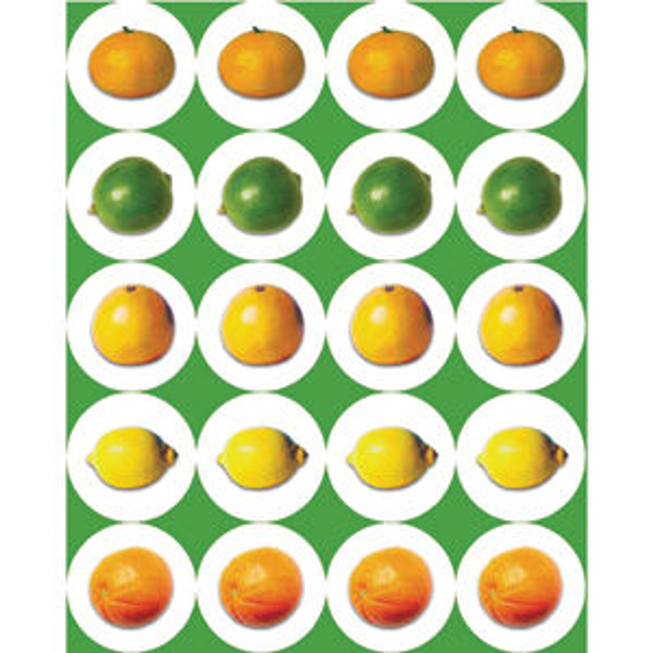 Citrus Fruit Stickers