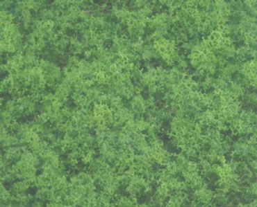 Foliage Medium Green