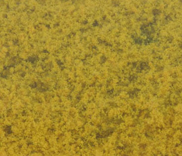 Flowering Foliage Yellow