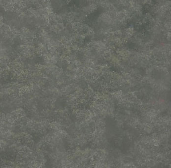 Bushes Clump Foliage Forest Green