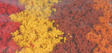 Clump Foliage Fall Mix