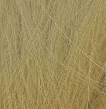 Field Grass-Natural Straw