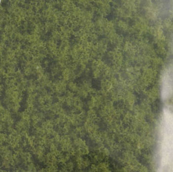 Coarse Turf-Light Green