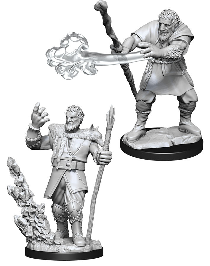 D&D: Nolzur's Marvelous Miniatures - Male Firbolg Druid (90013)
