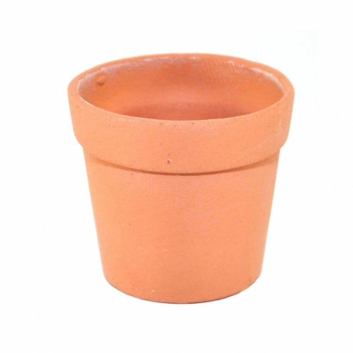 Medium Clay Flower Pot