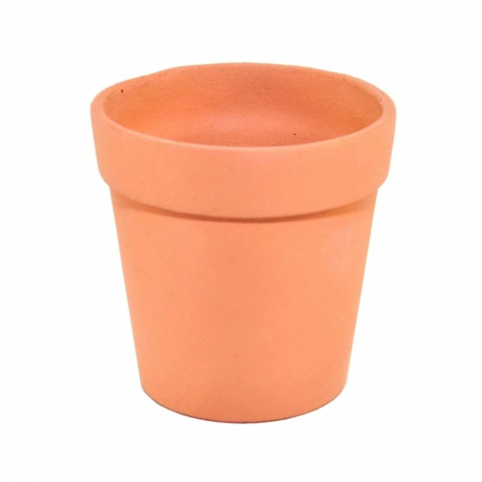 Large Flower Pot