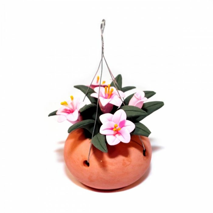 Plants In Hanging Basket