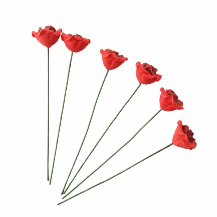 Single Red Roses- Pack of 6