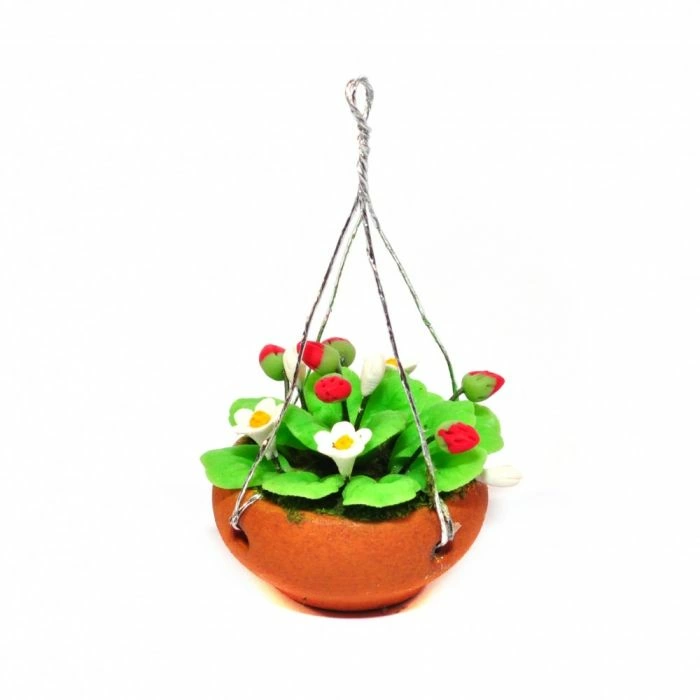 Hanging Basket with Strawberry Plants