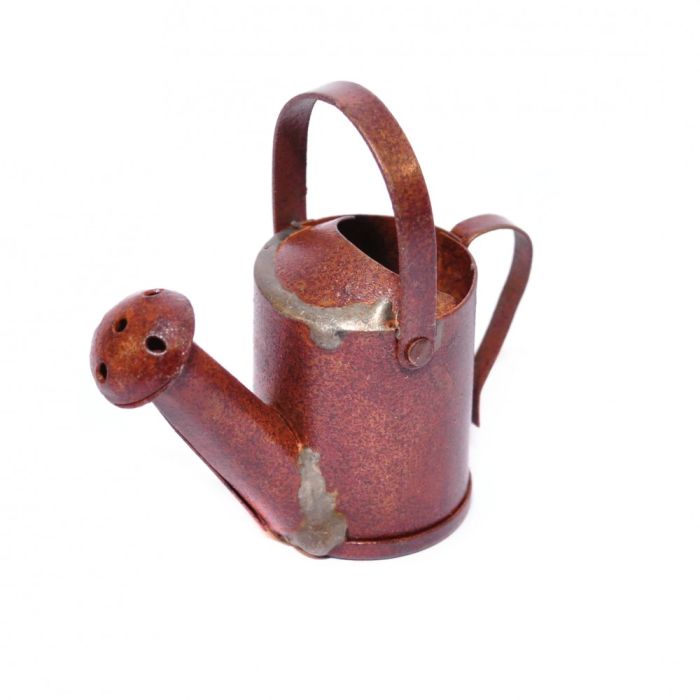 Rusty Watering Can