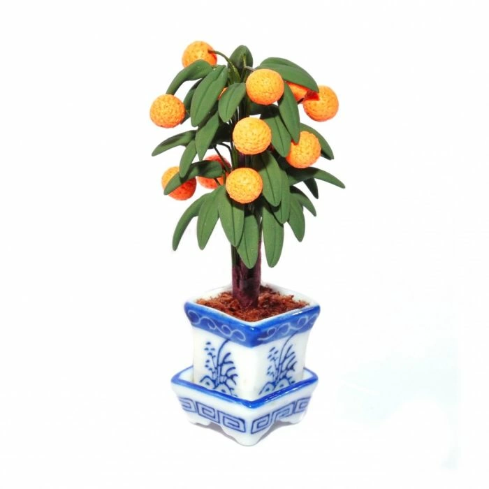 Potted Orange Tree