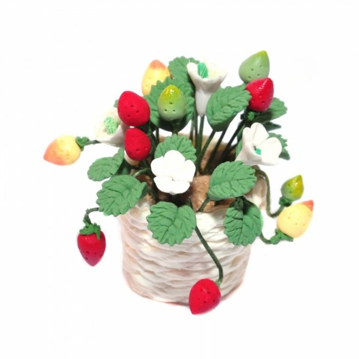 Potted Strawberry Plant