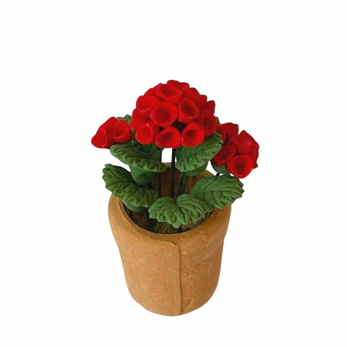 Geraniums In A Terracotta Pot