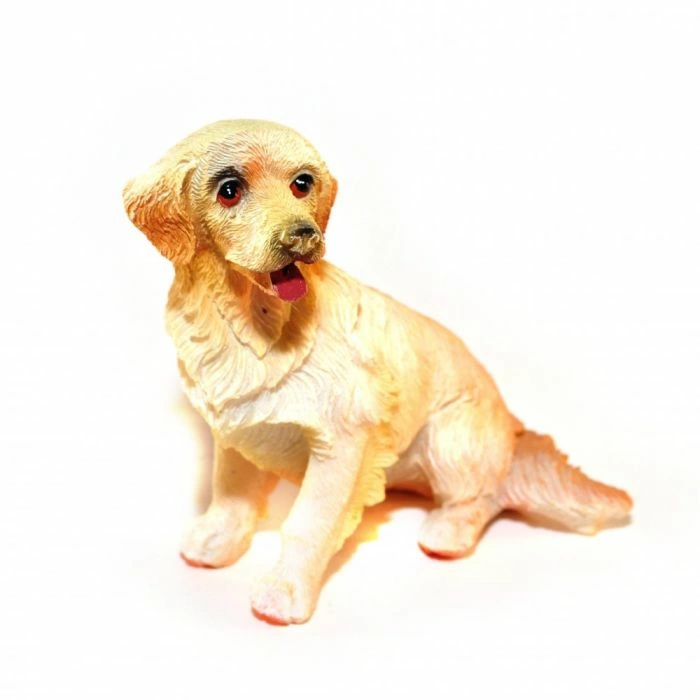 Sitting Golden Retriever Dog