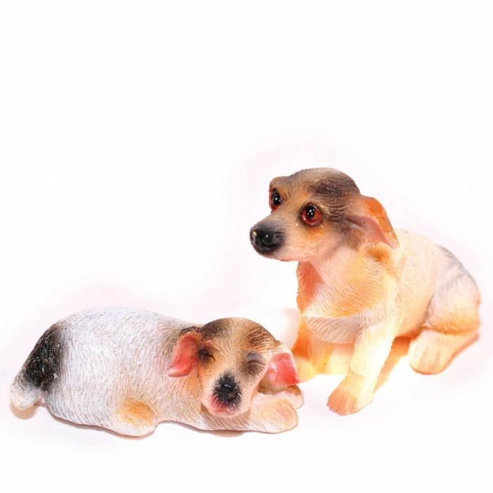 Pair of Jack Russel Dogs