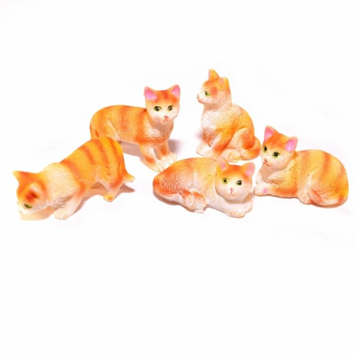 Five Ginger and White Cats