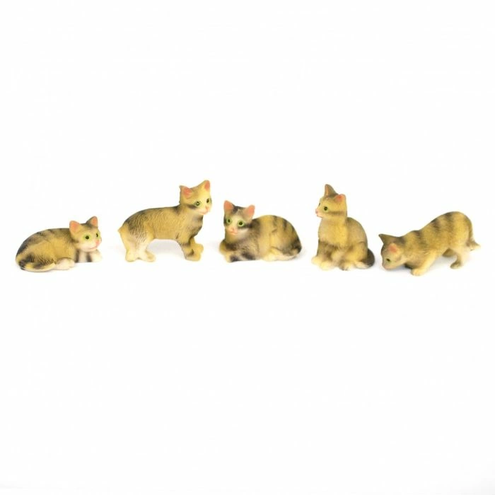 Five Tabby Cats