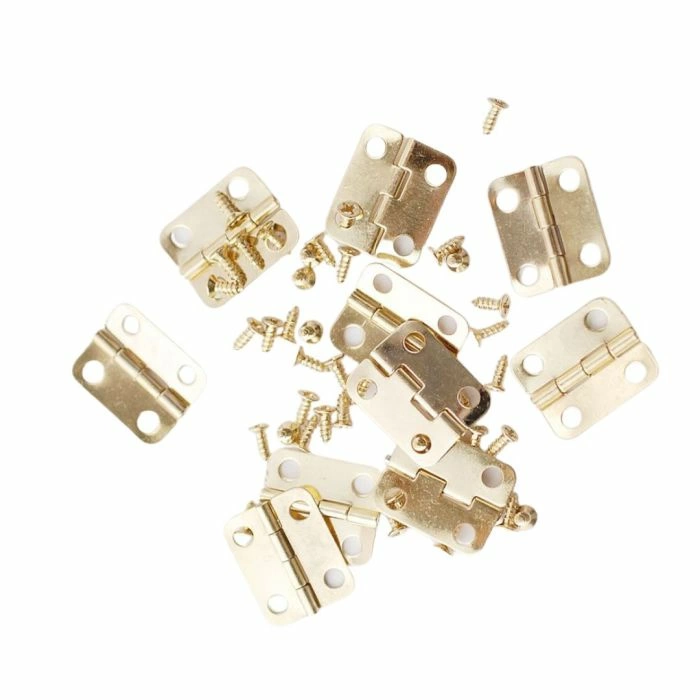 18mm Hinges & Screws