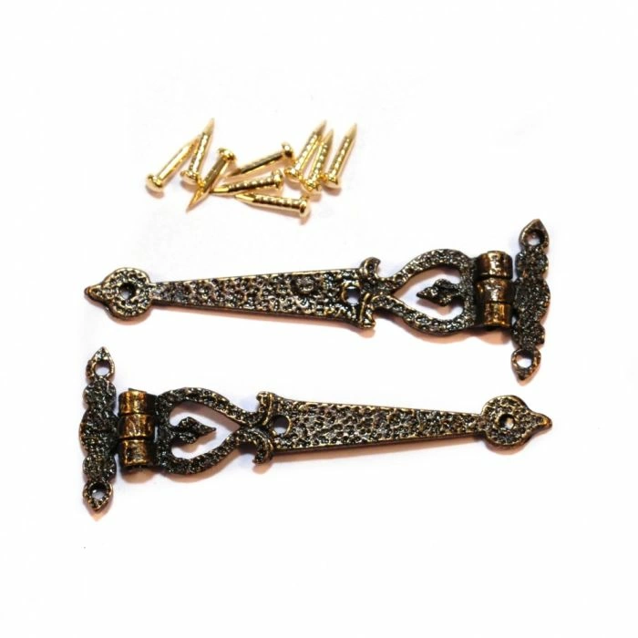 Antique Hinges and Pins, Pack of 2