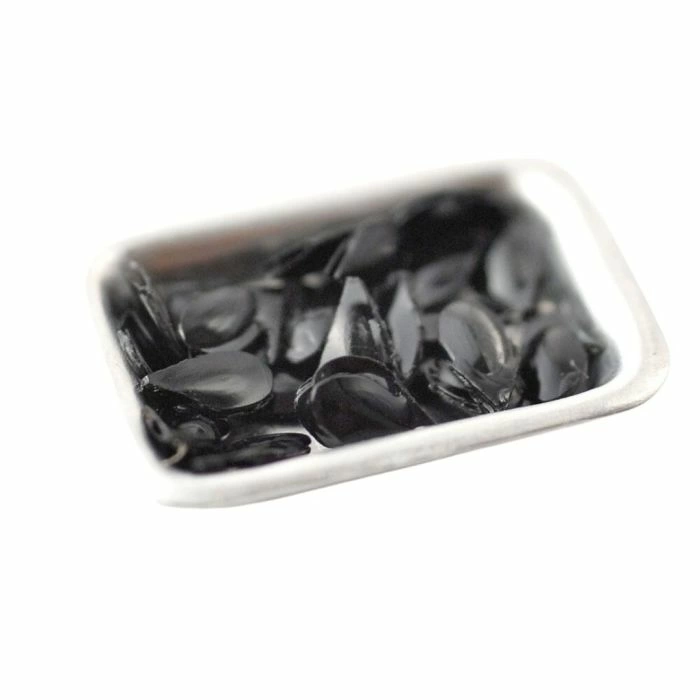 Mussels In Tray
