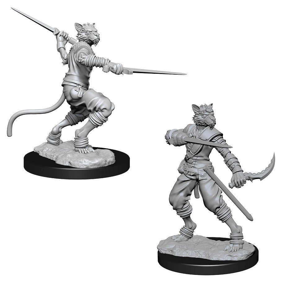 D&D: Nolzur's Marvelous Miniatures - Male Tabaxi Rogue (73540)