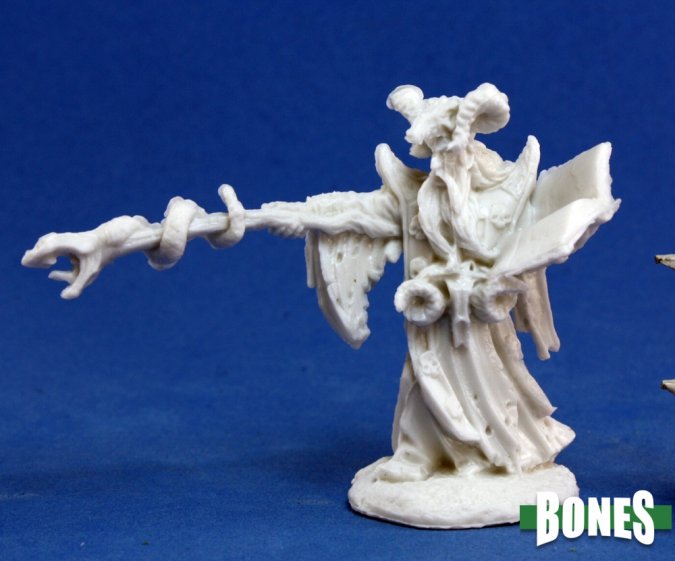 Bones 77174: Leisynn, Mercenary Mage