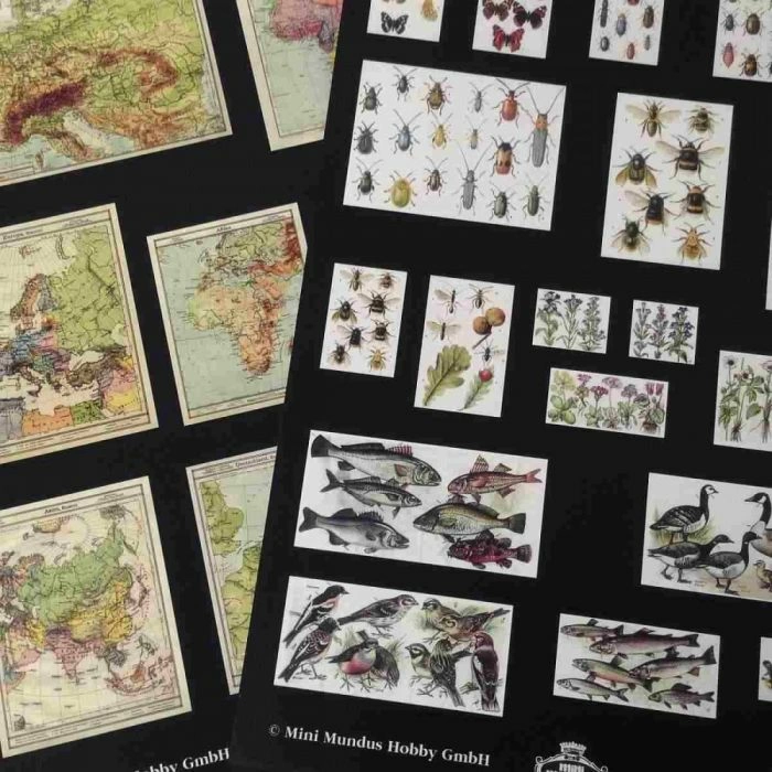 Selection of Educational Pictures