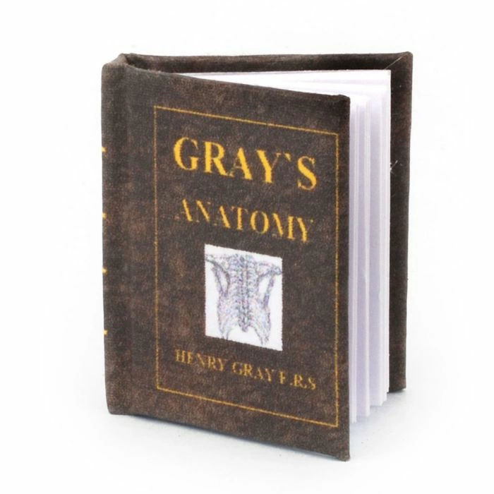 Gray's Anatomy