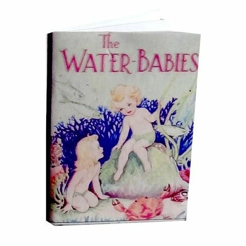 The Water-babies Book