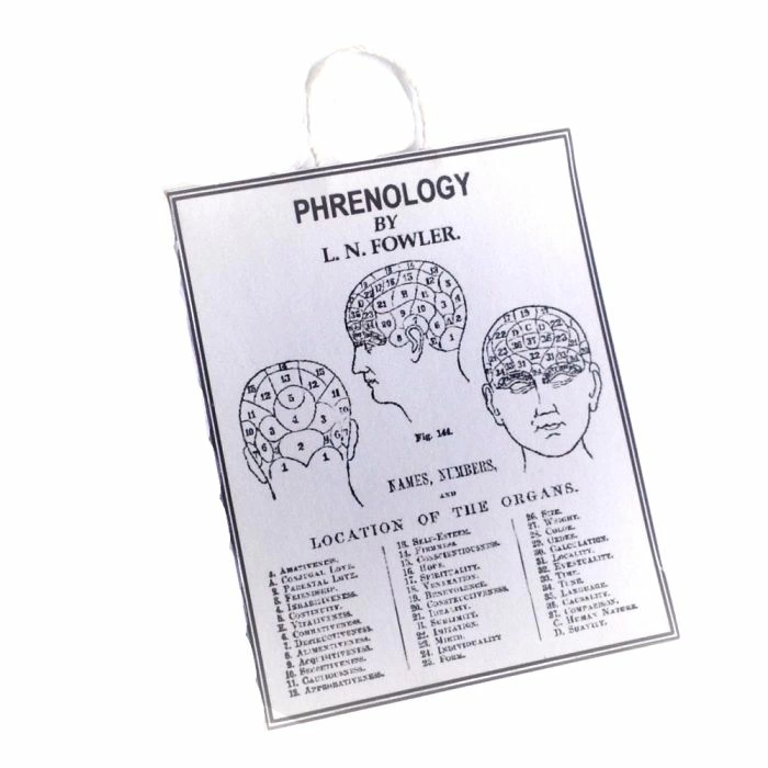 Phrenology Chart