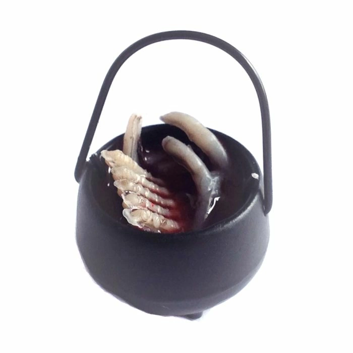 Cauldron with Bones