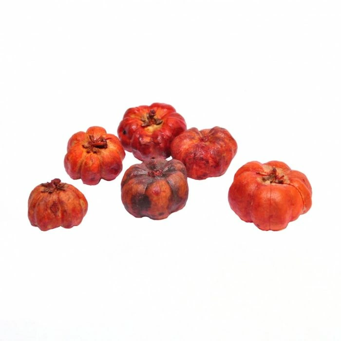 Pumpkins, Pack of 6