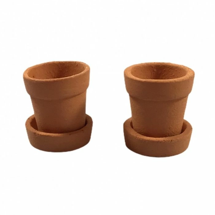 Flower Pot and Saucer, Pack of 2