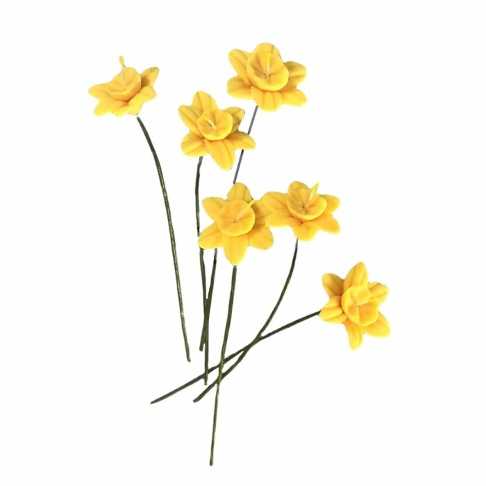 Spring Daffodils, 6 Pcs