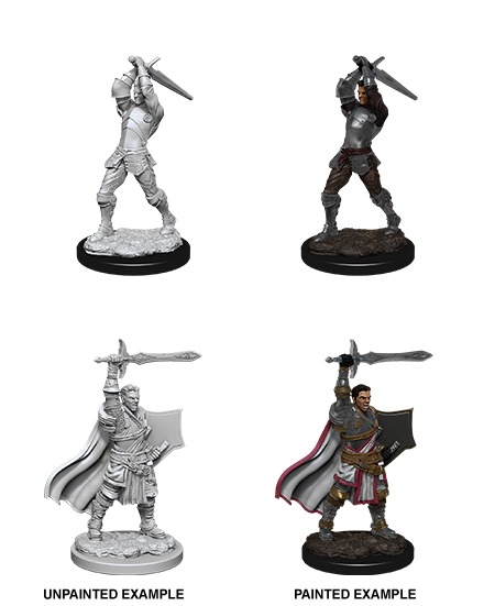 D&D: Nolzur's Marvelous Miniatures - Male Human Paladin (90060)