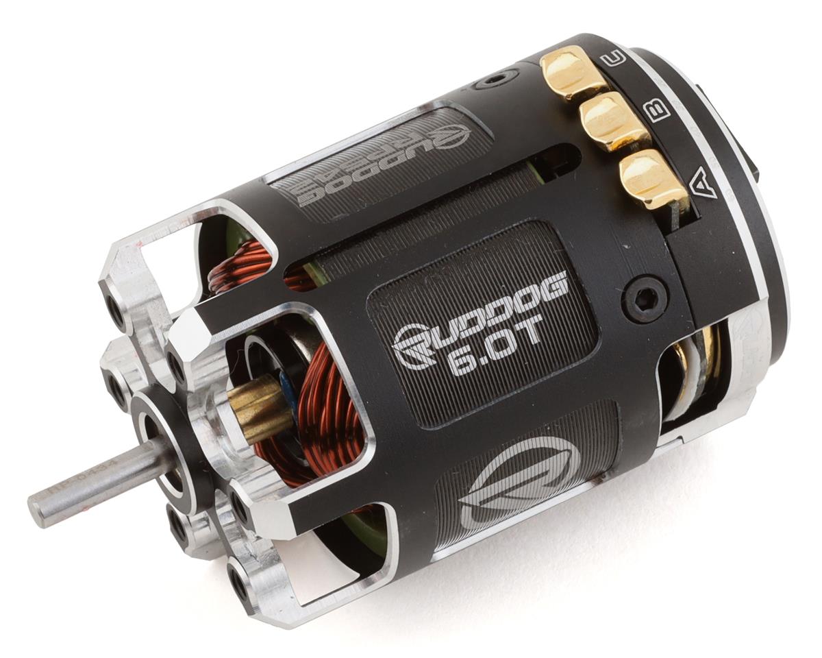 Ruddog RP542 540 Sensored Brushless Motor (6.0T)