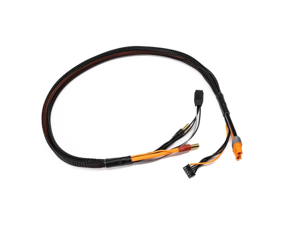 Spektrum RC Pro Series Race 4s Charge Cable: IC3/5mm 2'