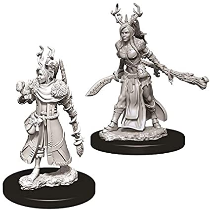 D&D: Nolzur's Marvelous Miniatures - Female Human Druid (73701)