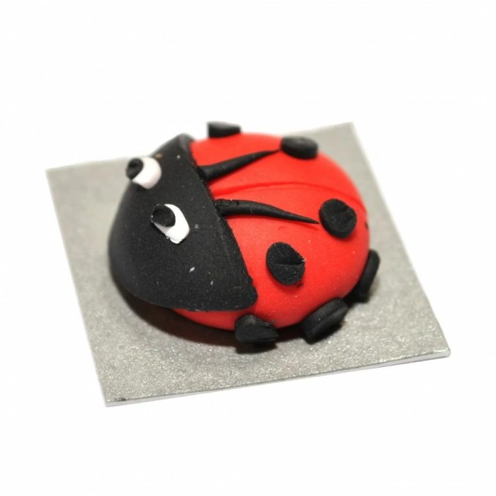 Ladybird Cake